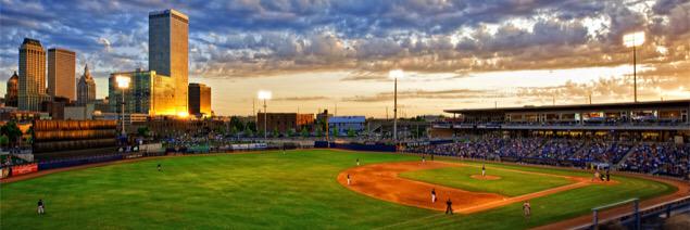 Baseball Vines banner