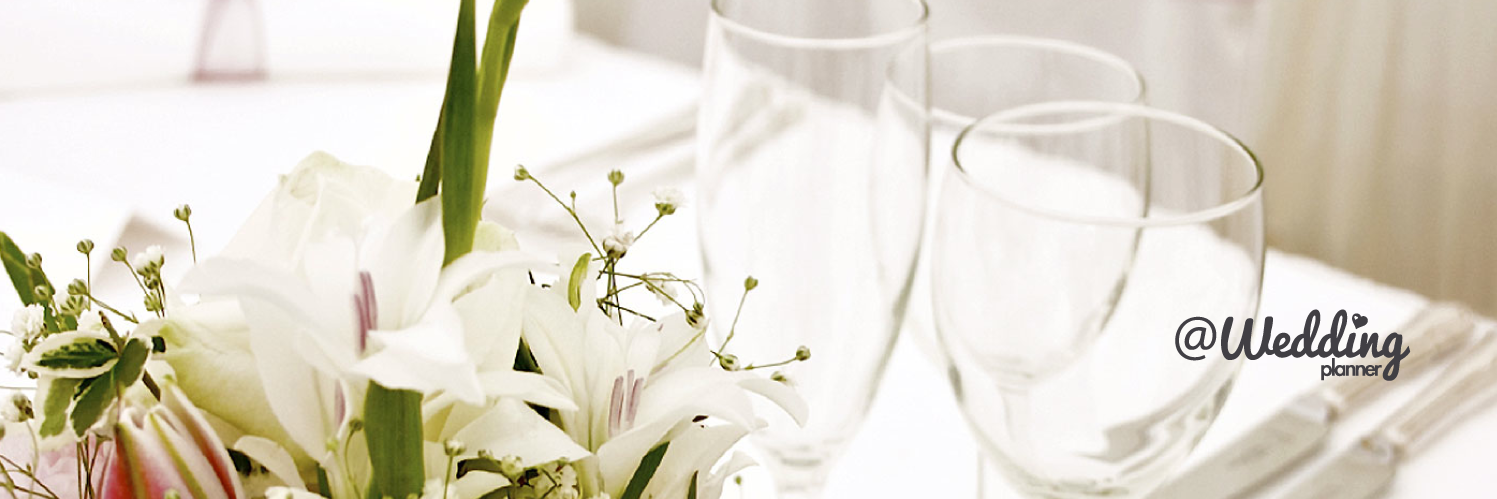 Wedding Planner | Powered by Party Central banner