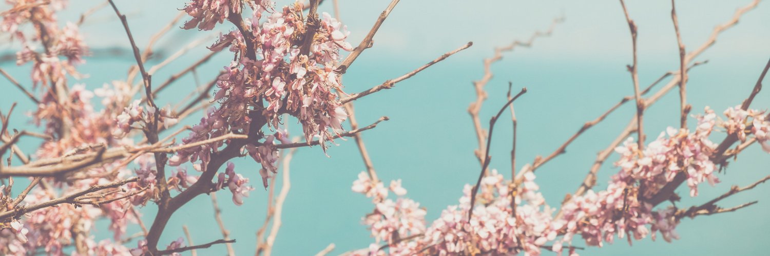 ElizabethSpilla's profile banner image