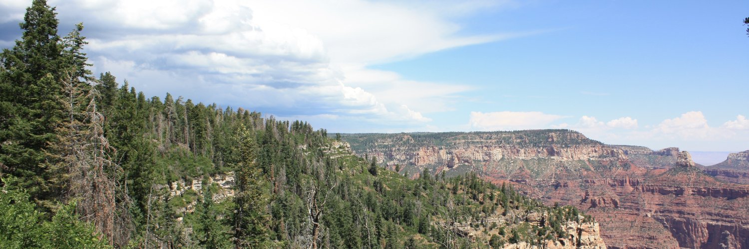 GrandmotherSam's profile banner image