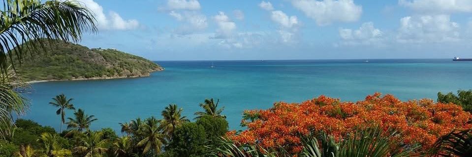 🇺🇸Carrie Crotty🇦🇬 🌴 banner