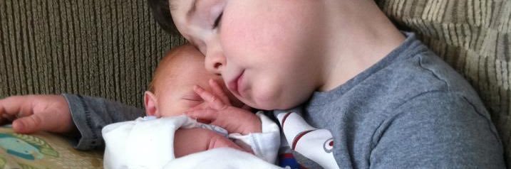 Suzanne Boudreau banner