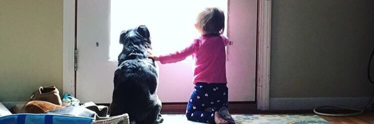 TuckerThePug's profile banner image