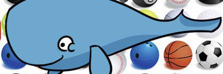 BelugaSport's profile banner image