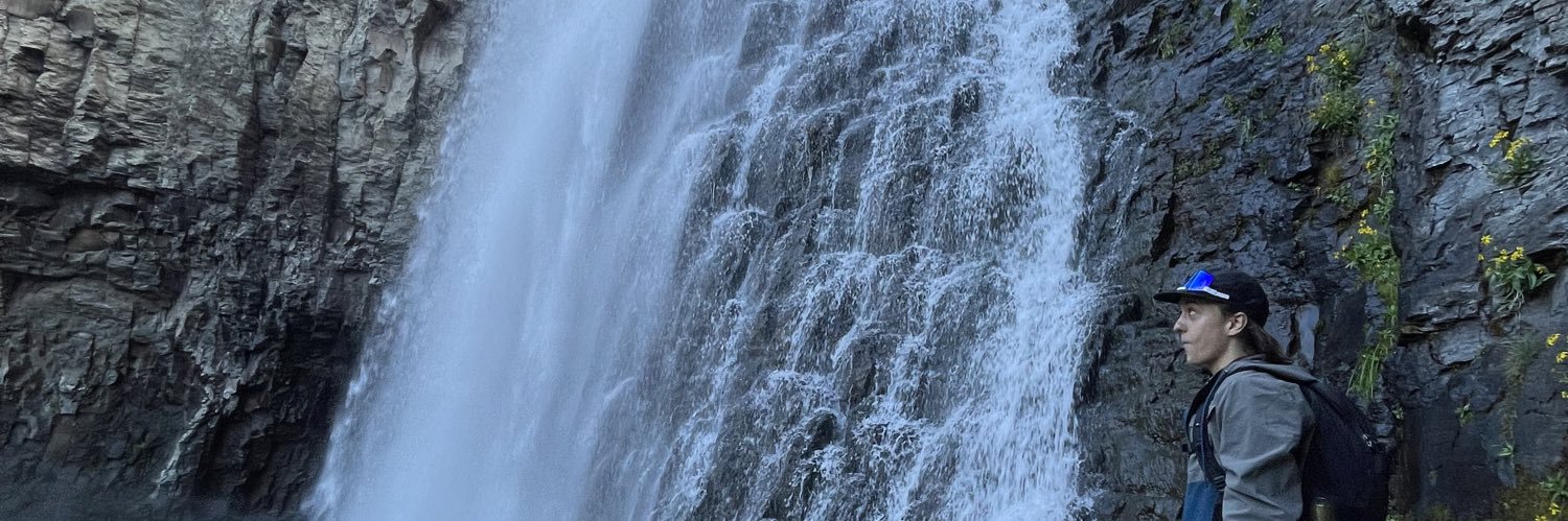 lilsvmmyvert's profile banner image