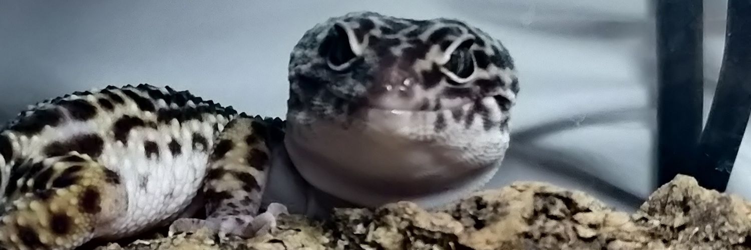 Cellutron 🍁 banner