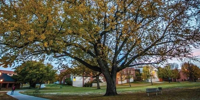 AugieSquirrelSD's profile banner image