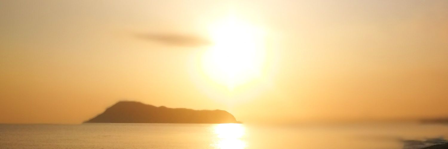 CaityMcNally's profile banner image