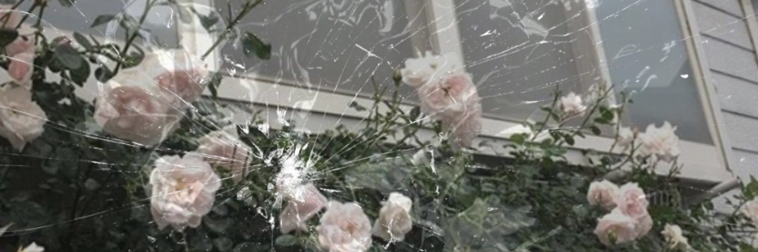 devilssreject_'s profile banner image