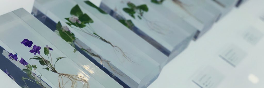 u_mab7's profile banner image