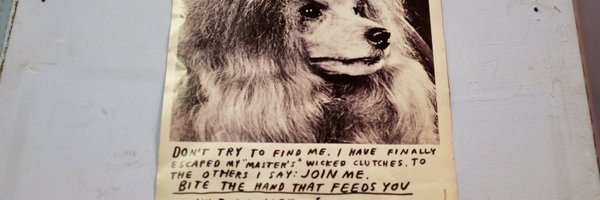 jackcallil Profile Banner