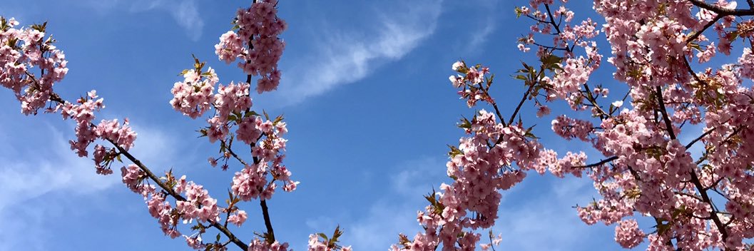 C_Juggler's profile banner image