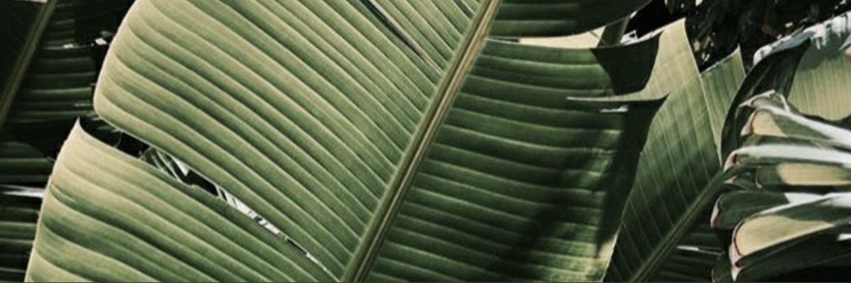 luemuh's profile banner image
