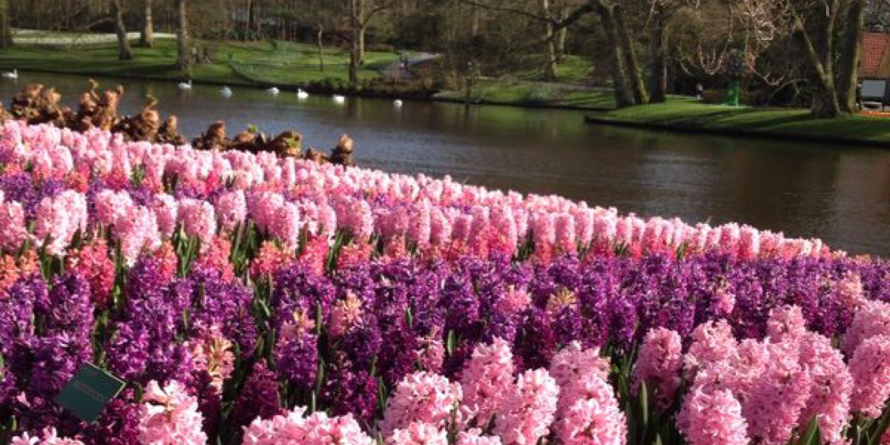 Aziza Alhatlani banner