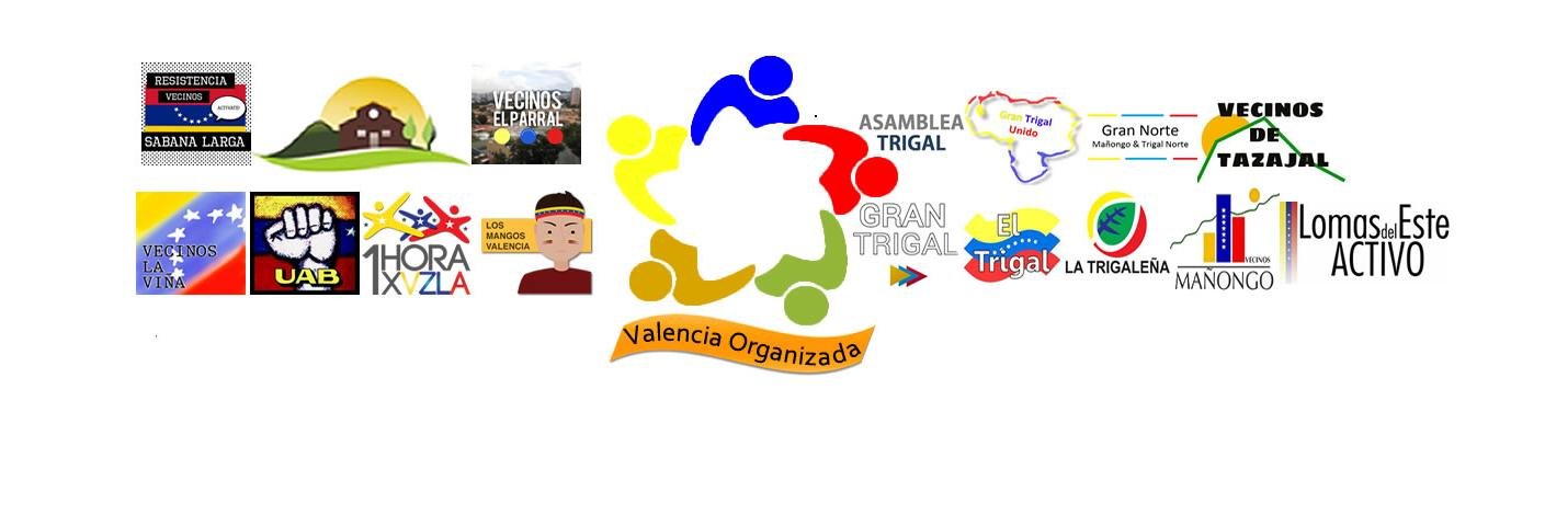 losmangosval's profile banner image