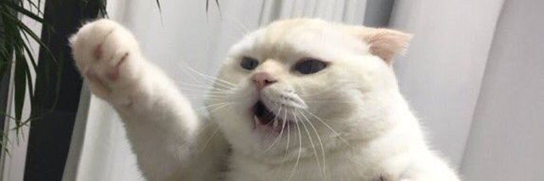 couldbeustgt's profile banner image