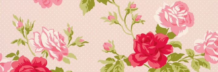 BeloveddBella's profile banner image
