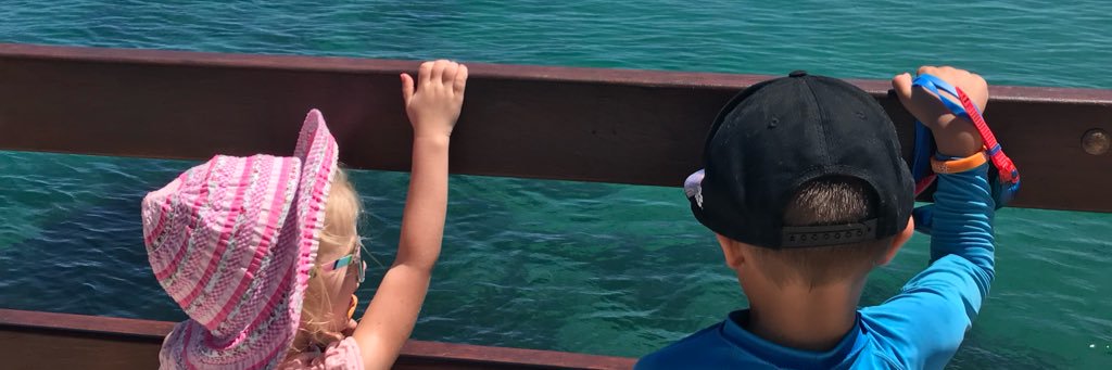 Alison Forthuber banner