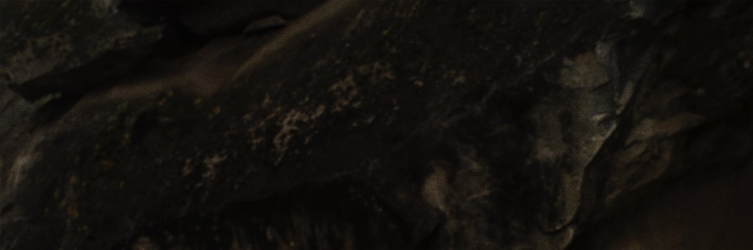 dreamsonboard's profile banner image