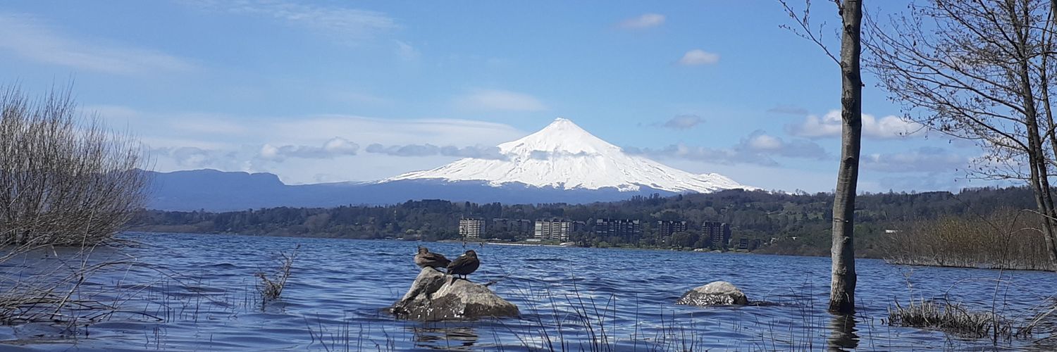DanielAlejMarti's profile banner image
