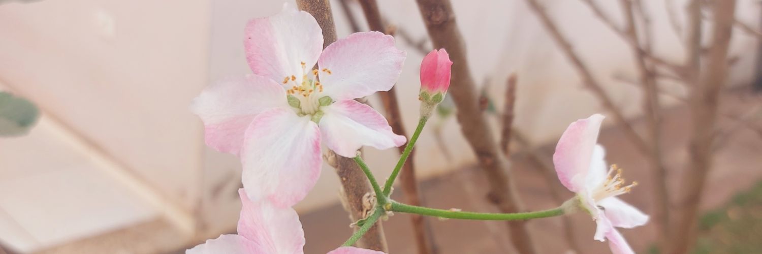 jhenss_'s profile banner image