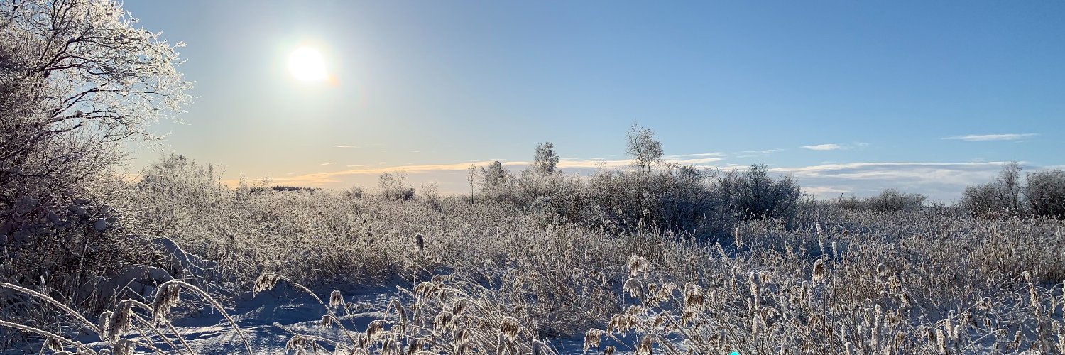 Tanja Suomalainen banner