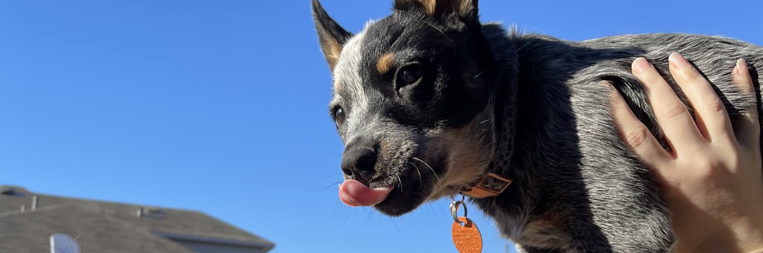 baylee2018's profile banner image