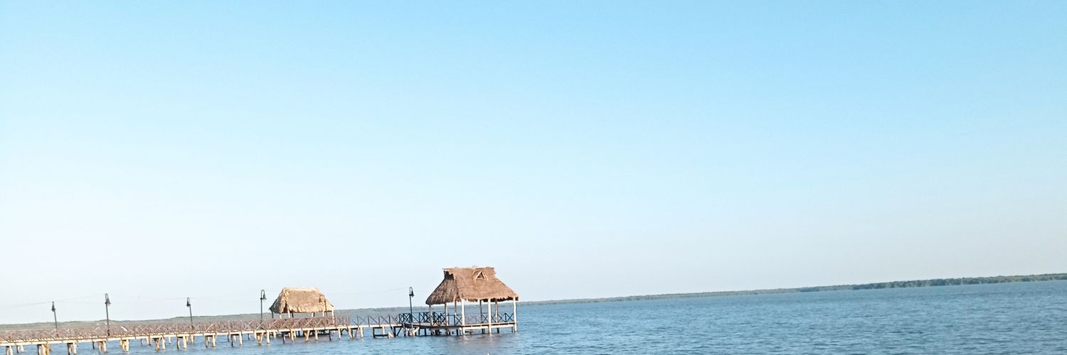 arimoxa15's profile banner image