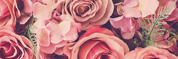 madisonalida's profile banner image
