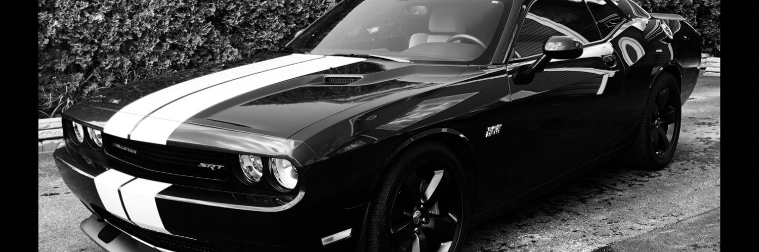 mel_duc's profile banner image