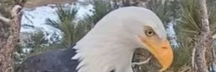 IvanMonterof's profile banner image