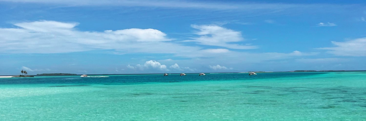 MissHMaclean's profile banner image