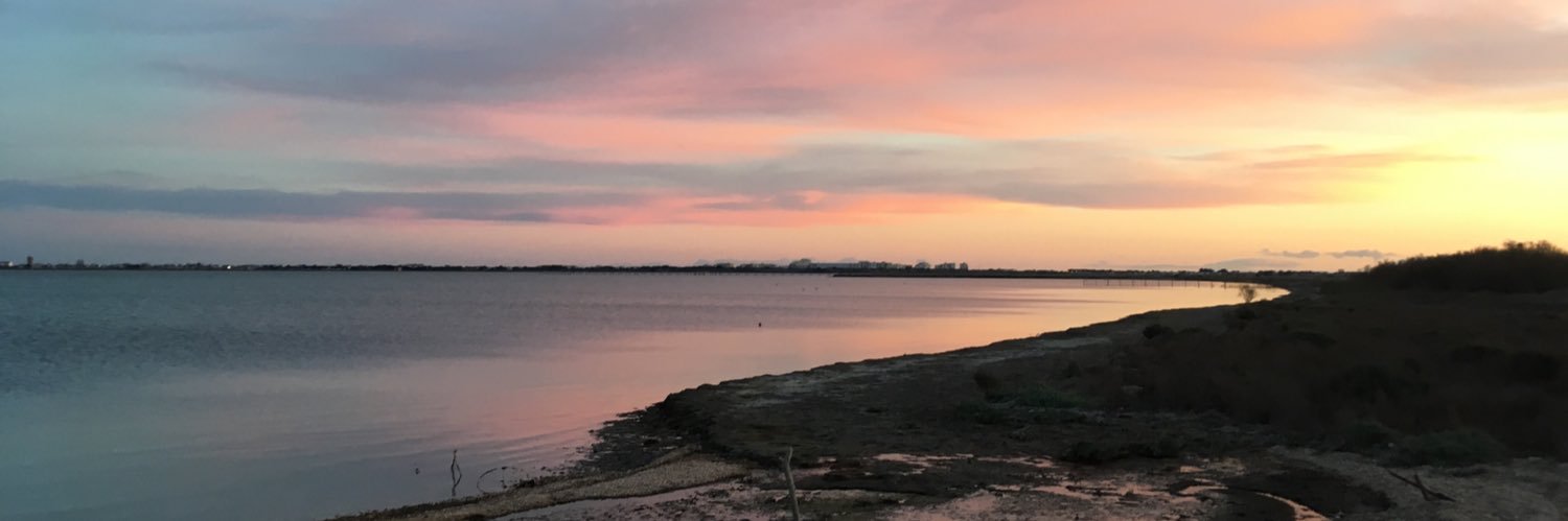 alex_ofnir's profile banner image