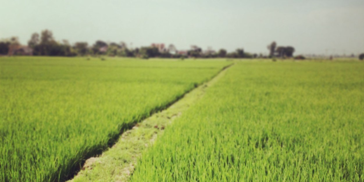 nthtam's profile banner image
