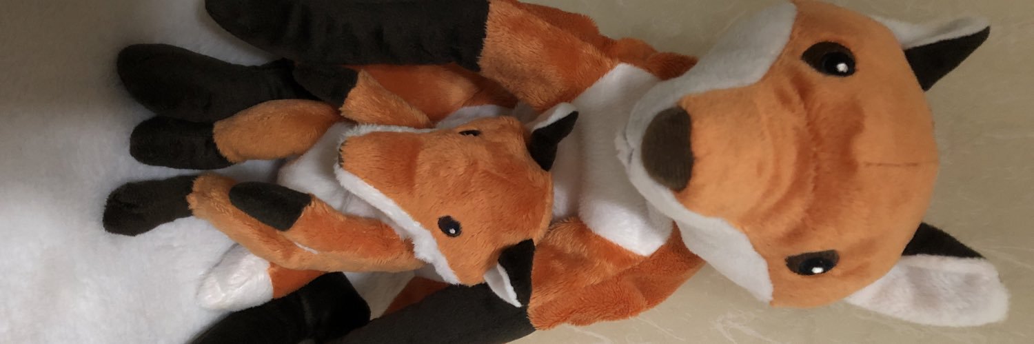 TangerineVolpi's profile banner image