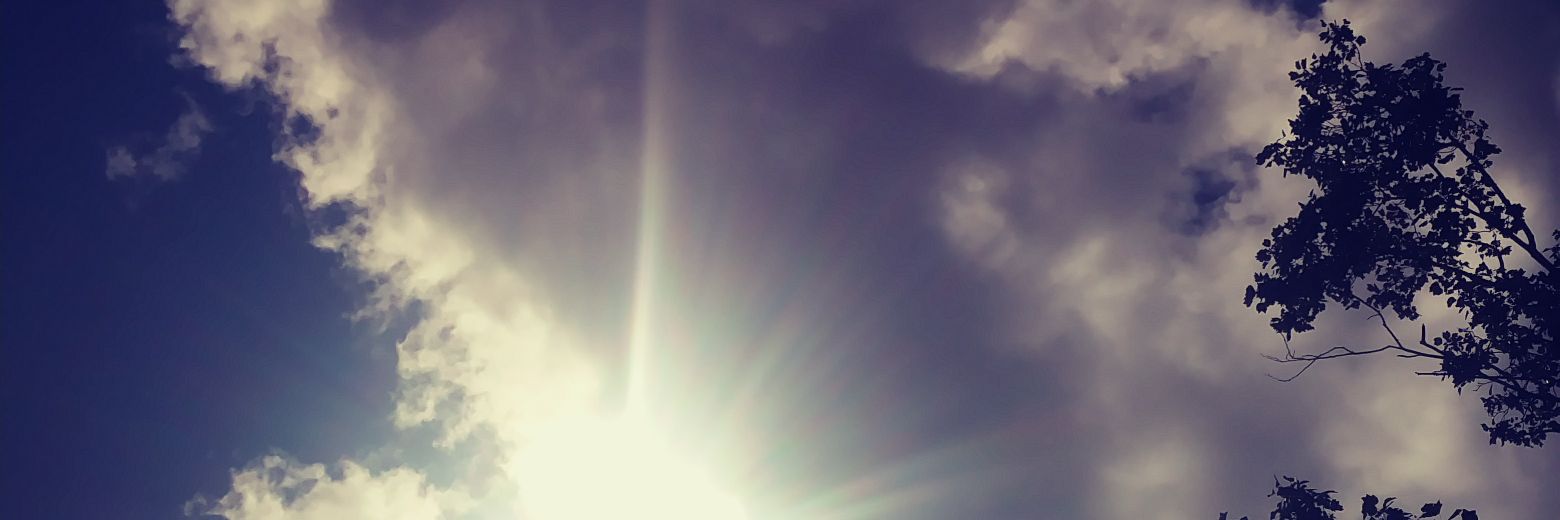 TripleA4877's profile banner image