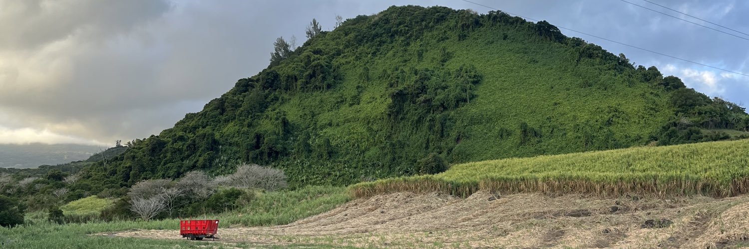 Vigile Hoareau banner
