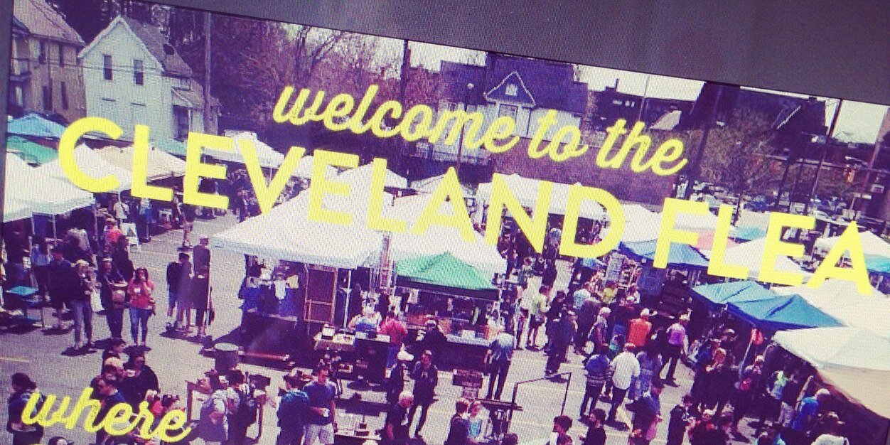 Stephanie Sheldon banner