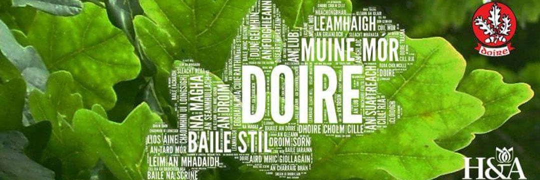 Derry GAA banner