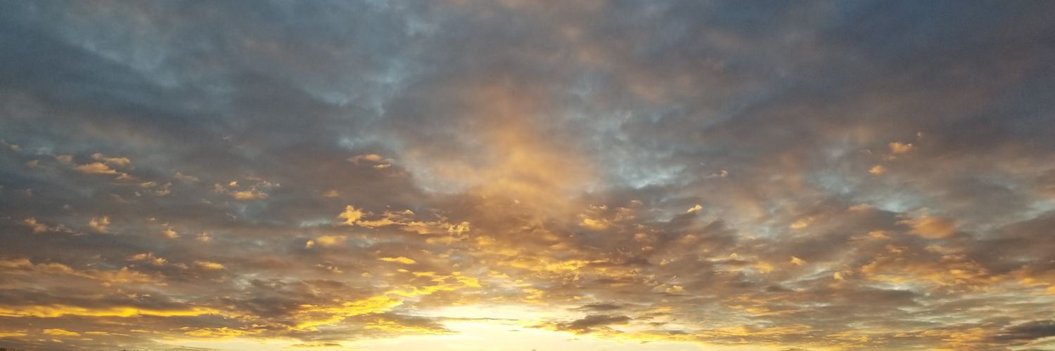 abby_zilm's profile banner image
