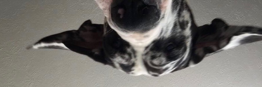 sammedina94's profile banner image