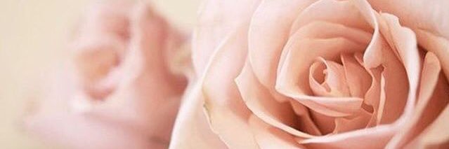 _pambabington's profile banner image