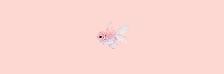 . banner