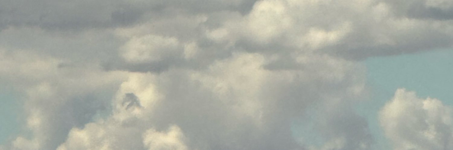 KaylaAlton2's profile banner image