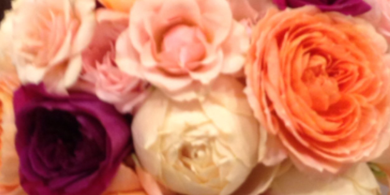 meeegggu's profile banner image