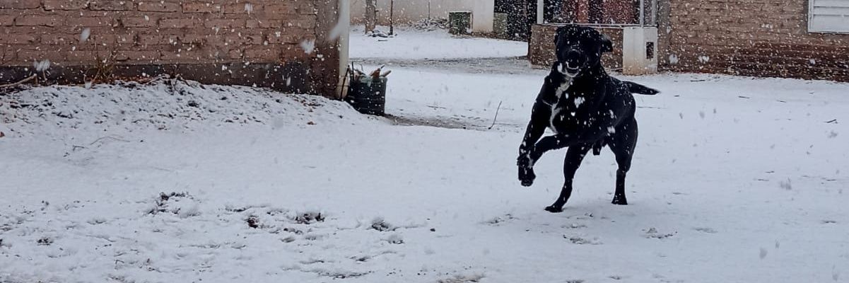 agus_gil99's profile banner image