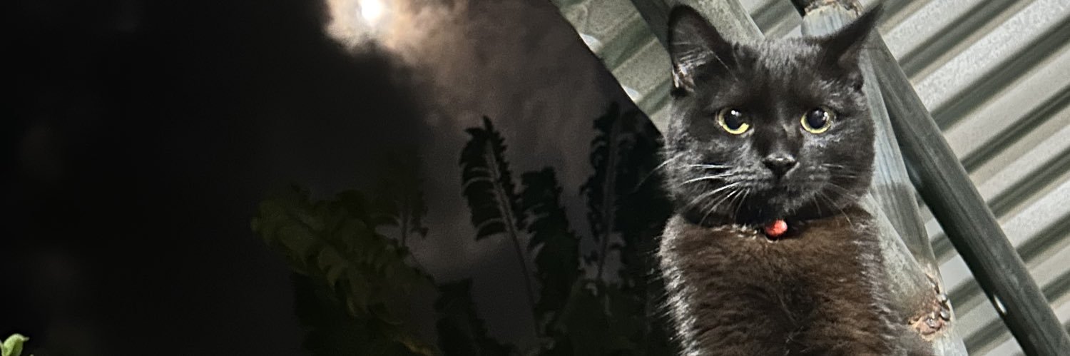 kthlndnll's profile banner image