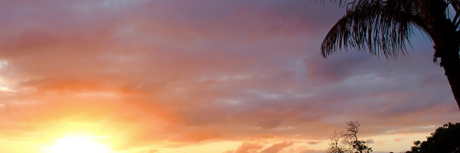 alexisstein_'s profile banner image