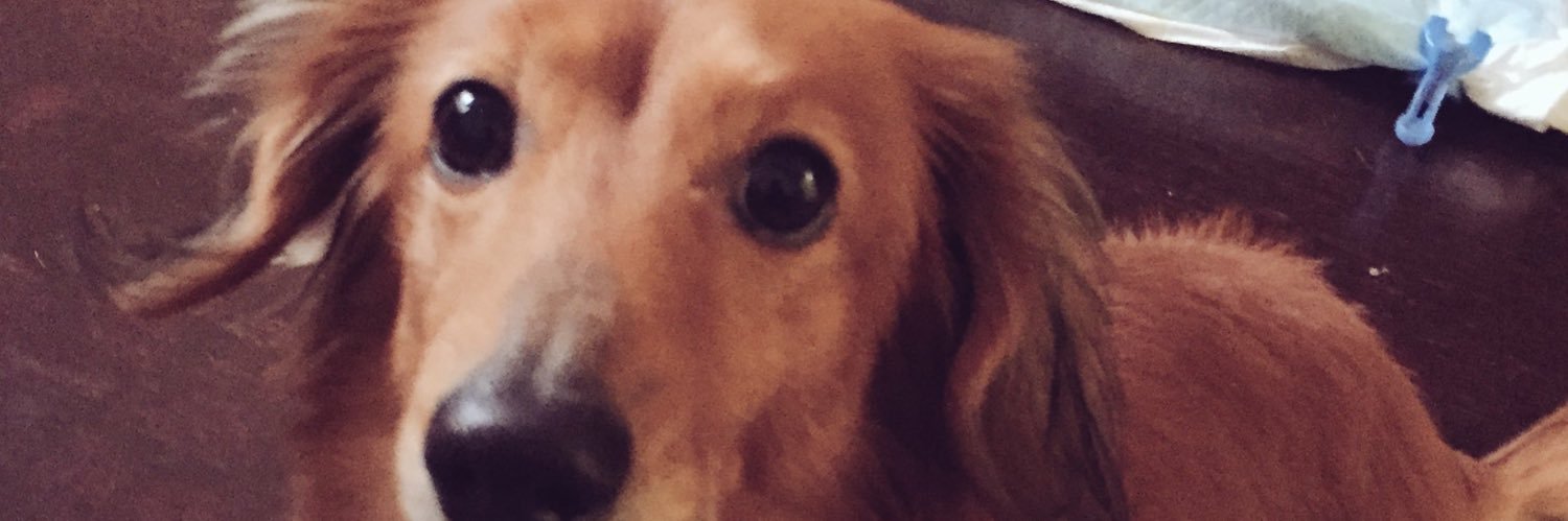 tmzkmg's profile banner image