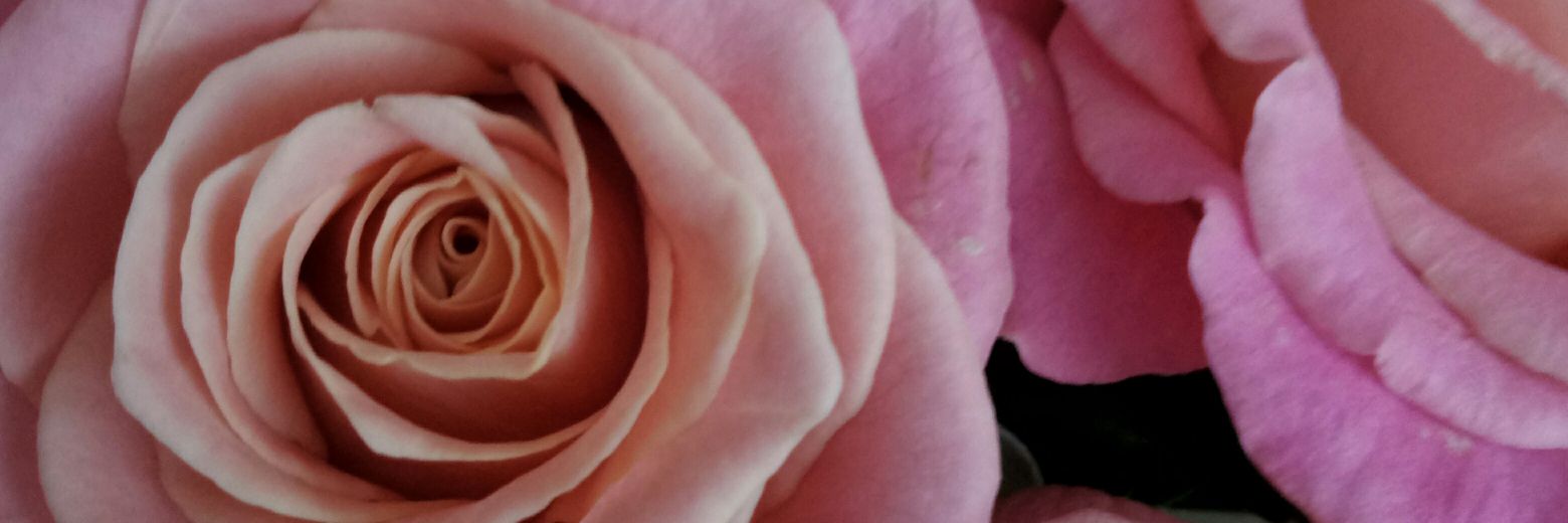 Kuznetsova2405's profile banner image